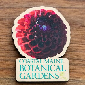 CMBG WOODEN DAHLIA MAGNET
